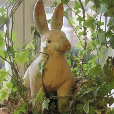 Beim Has'n 3* Rimsting